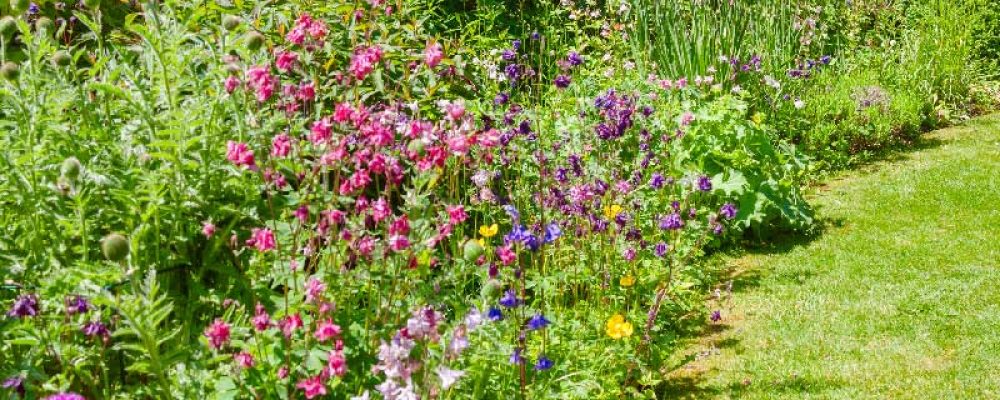 Giardinaggio e benessere