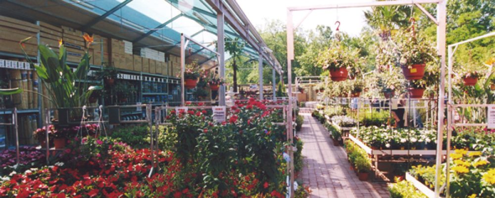 Arredi giardino in manutenzione