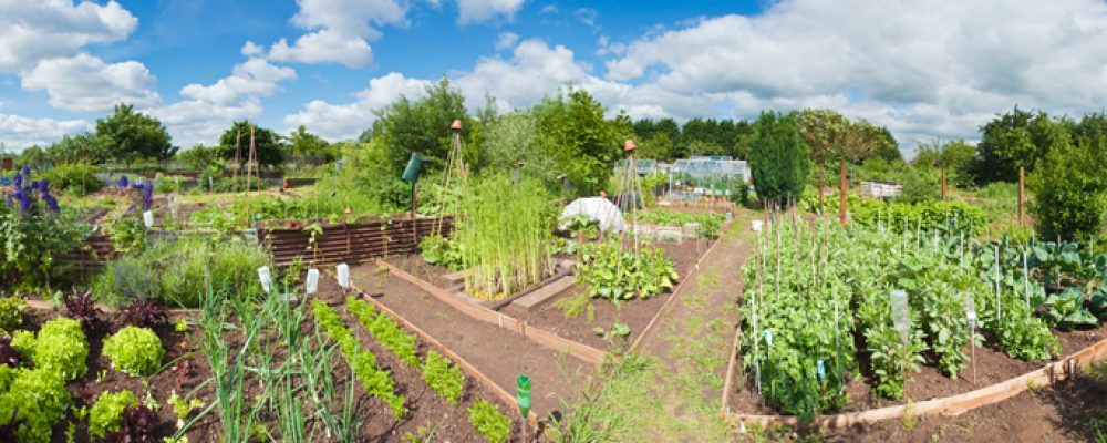 Prepariamoci alla primavera
