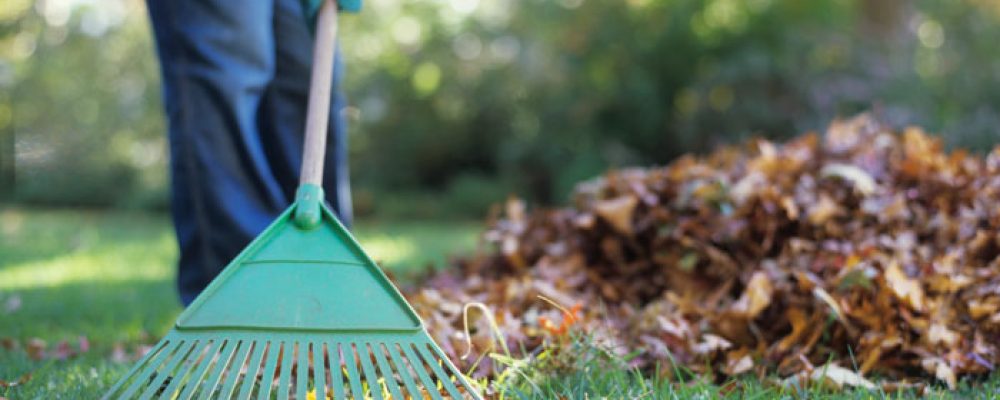 Giardino d’autunno