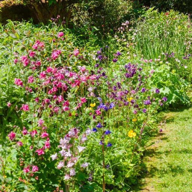 Giardinaggio e benessere
